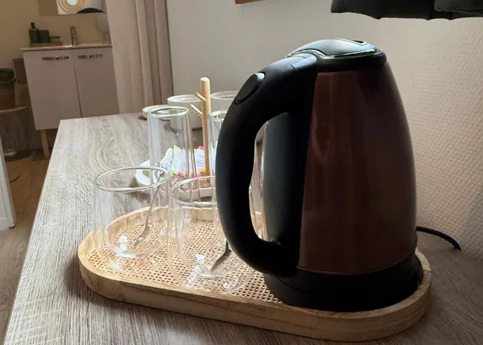 Le Vic De Lomagne فندق مبيت وإفطار Lavit